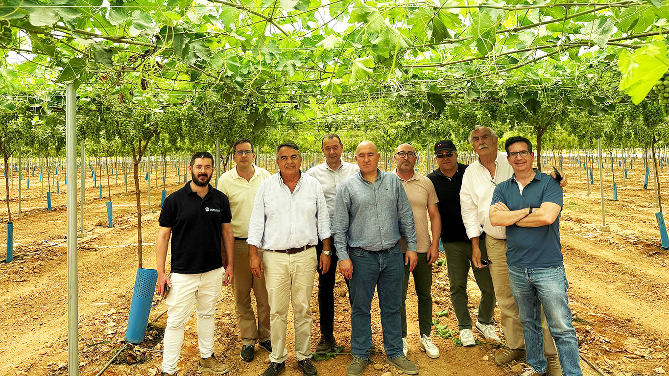 Parrales de uva de mesa en Finca Ceperos de El Ciruelo, visita Viceconsejero 2026.