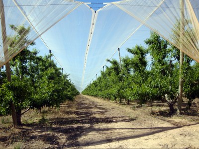 Instalaciones antigranizo