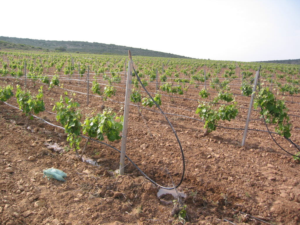 Riego por goteo en viñas