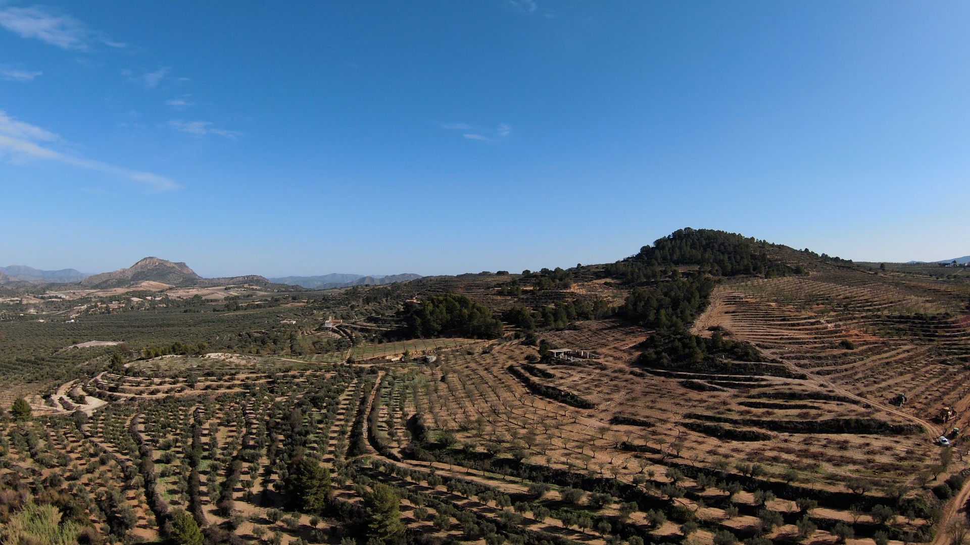 Panorámica zona obra balsa Férez