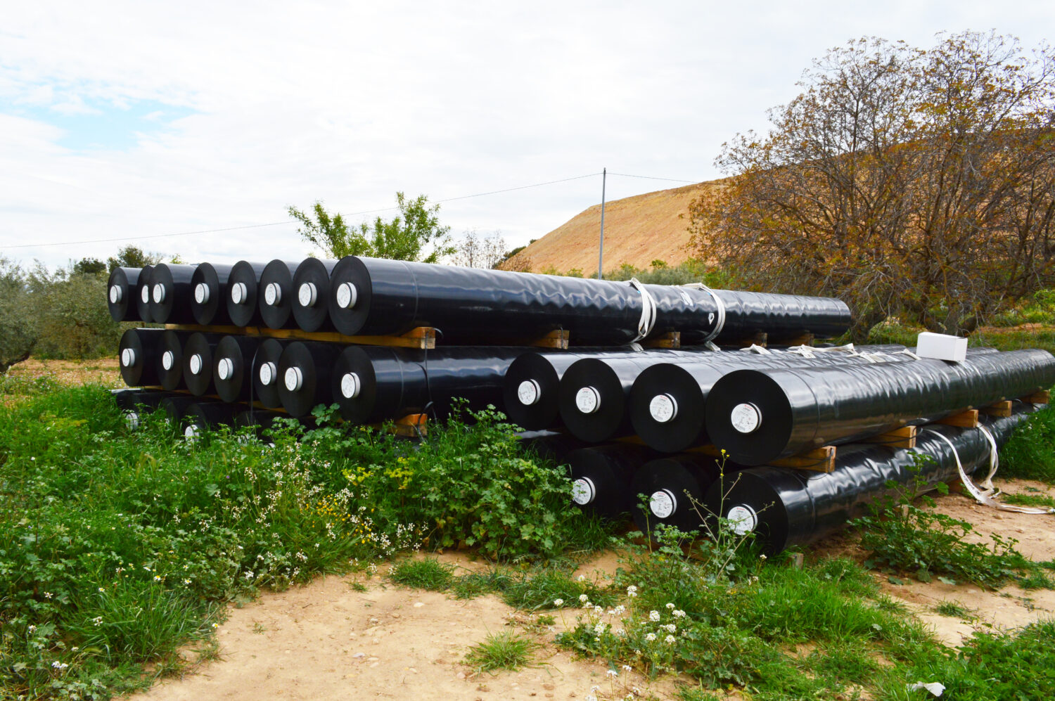 Acopio rollos lámina Pead Férez