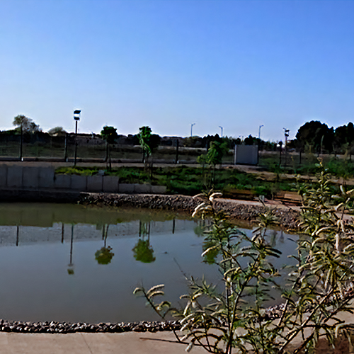 Jardín Botánico CLM
