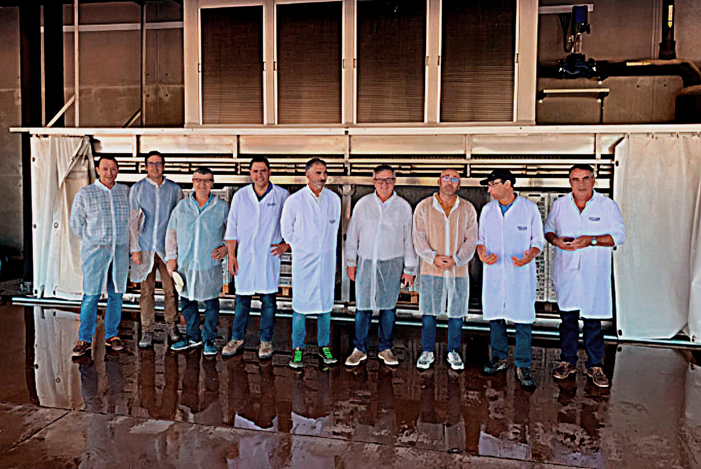 Cereza lavada y envasada en frío